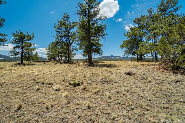 a view of a large building with a mountain in the background