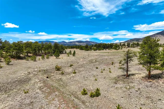 a view of a field with an ocean view