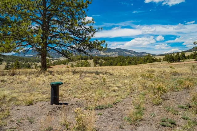 a view of a yard with a tree