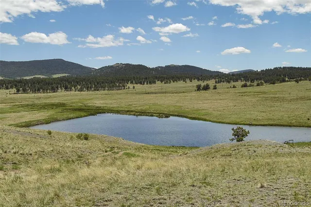 $190,000 | 129 Eagle Nest Trail, Guffey, CO 80820