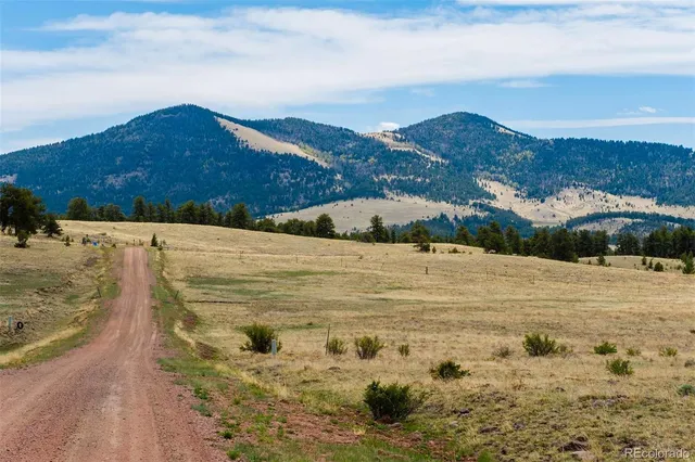 a view of a yard with a mountain