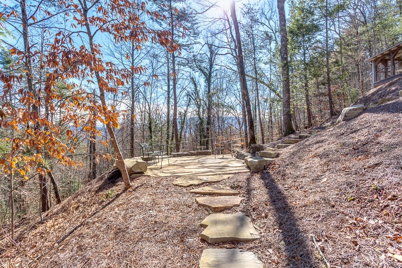 230 Mt Luke Road Townsend, TN 37882 - Photo 2 of 39 Gallery Image 2