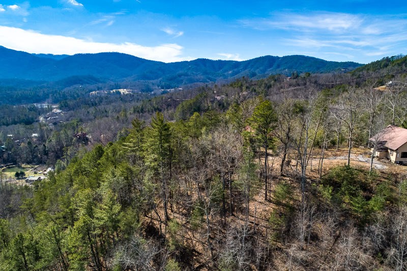 230 Mt Luke Road Townsend, TN 37882 - Photo 31 of 39 Gallery Image 31