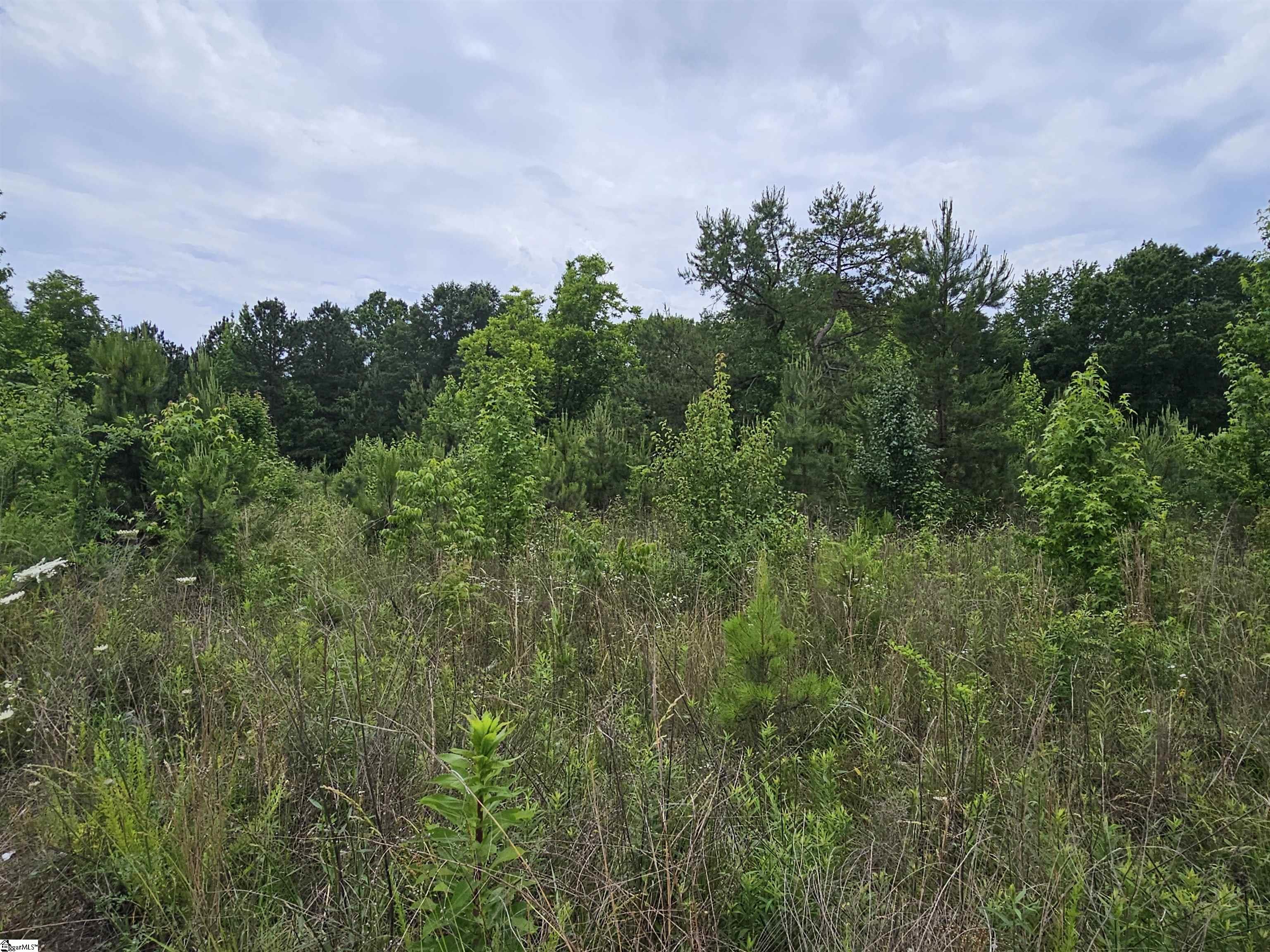 144 Colleton Lane Clinton, SC 29325 - Photo 2 of 2