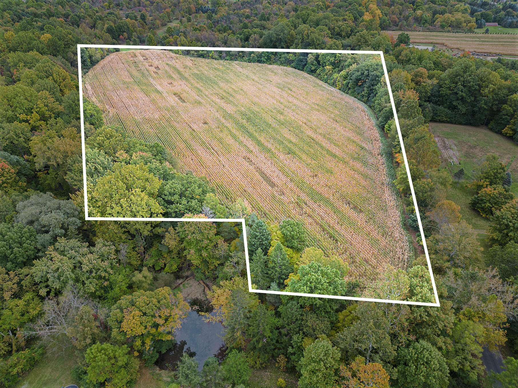 Union Road Eau Claire, MI 49111 - Photo 1 of 12 DJI_0924