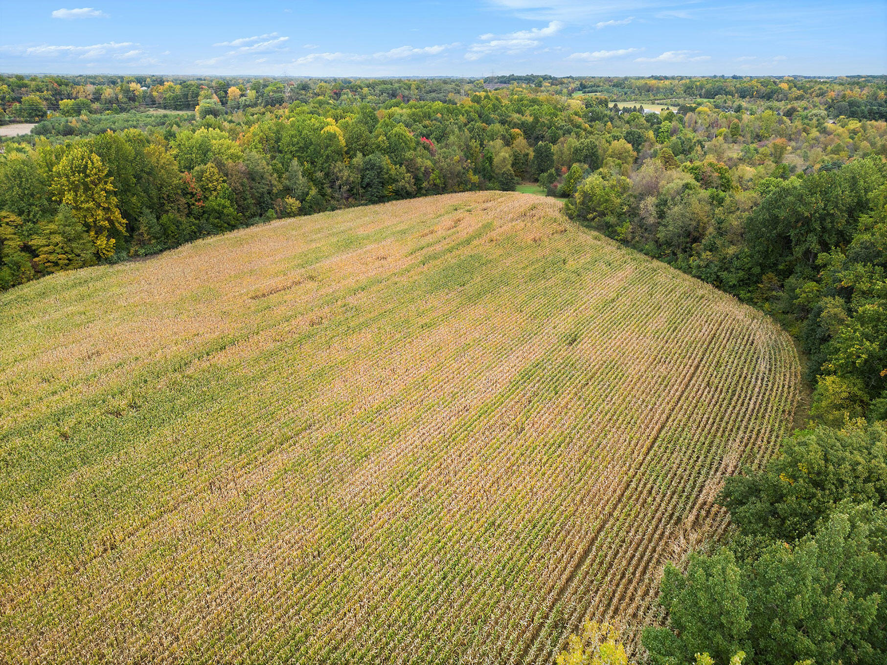 Union Road Eau Claire, MI 49111 - Photo 12 of 12 DJI_0917