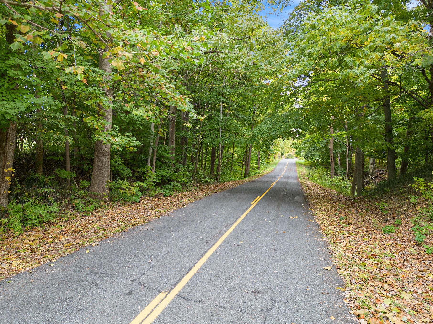 Union Road Eau Claire, MI 49111 - Photo 3 of 12 DJI_0915