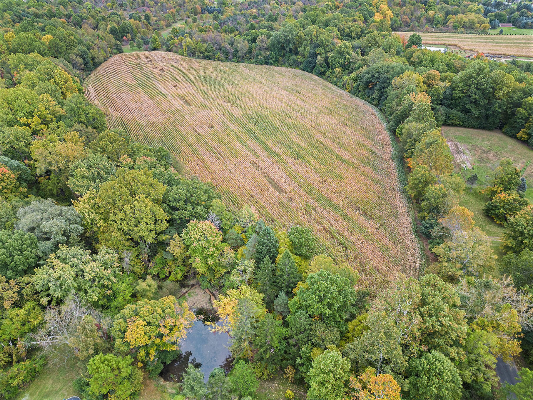 Union Road Eau Claire, MI 49111 - Photo 4 of 12 DJI_0924 (1)