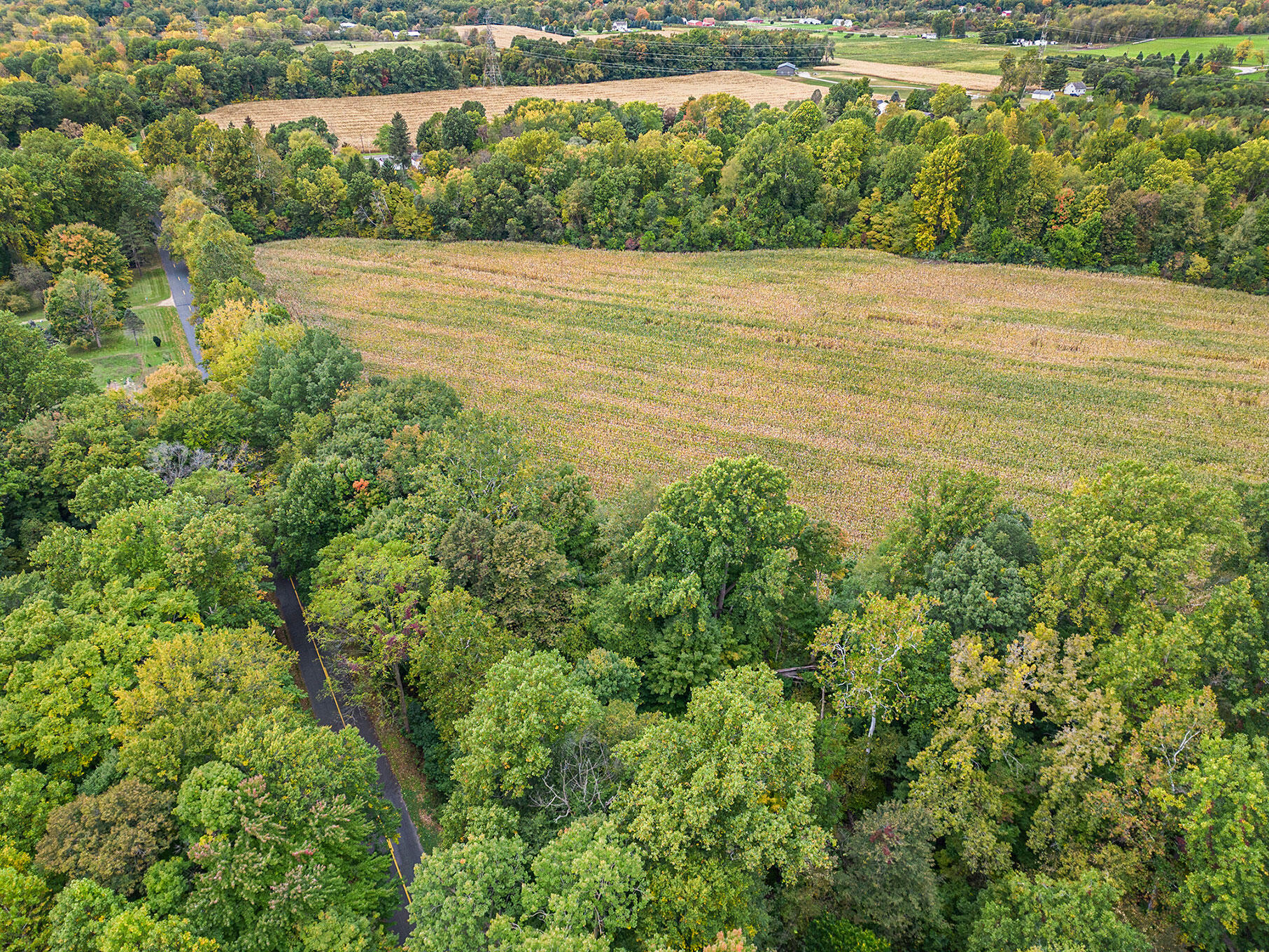 Union Road Eau Claire, MI 49111 - Photo 5 of 12 DJI_0933