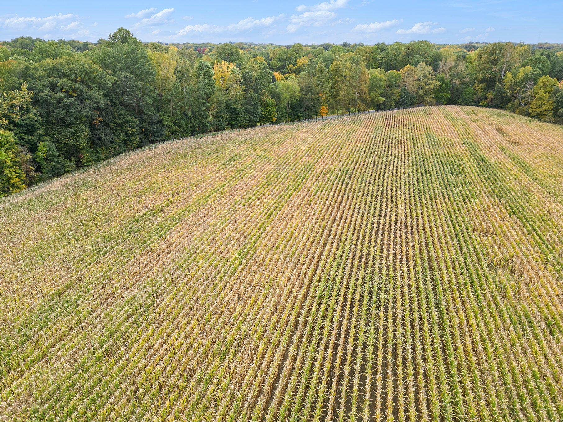 Union Road Eau Claire, MI 49111 - Photo 6 of 12 DJI_0930