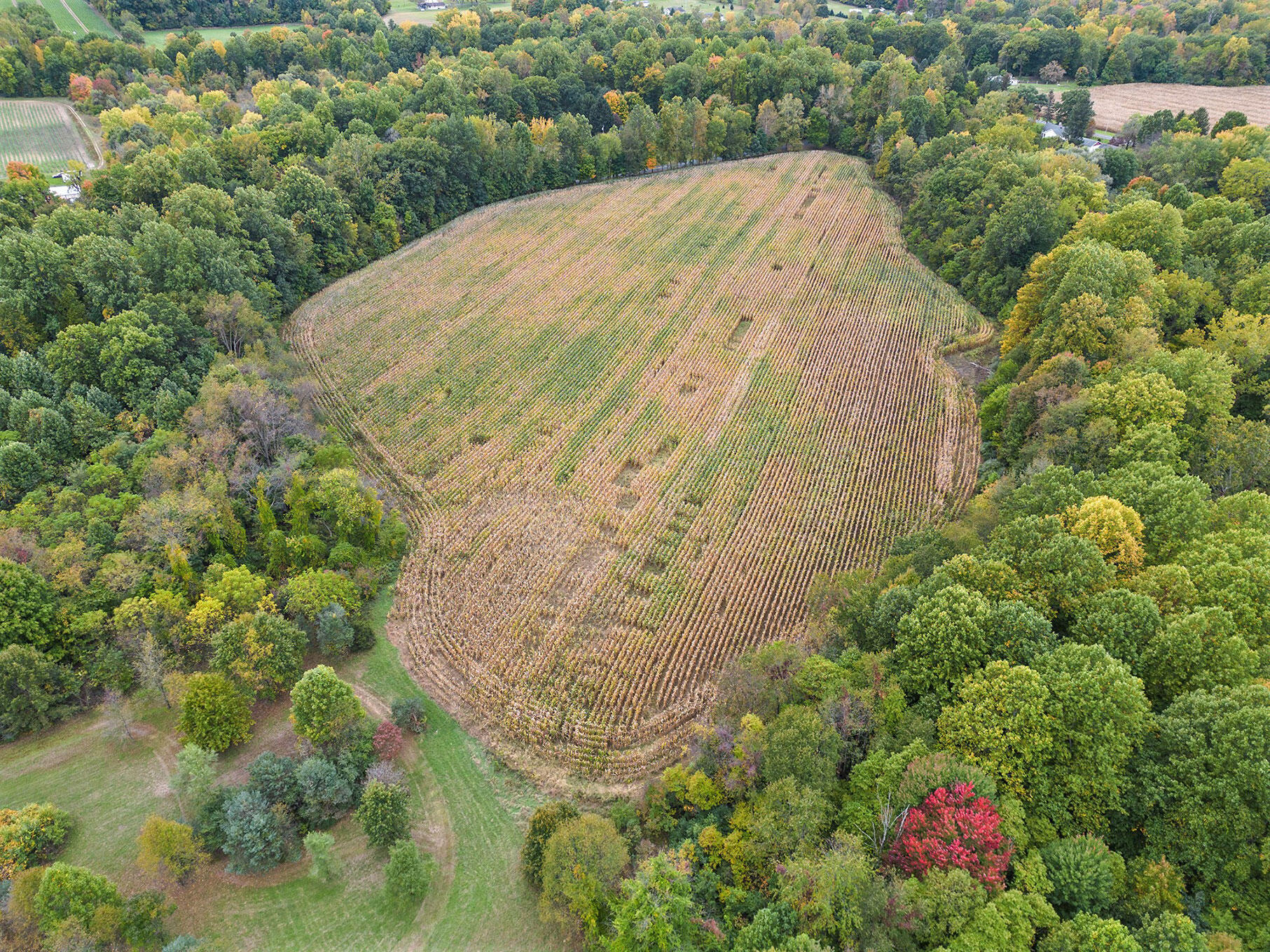 Union Road Eau Claire, MI 49111 - Photo 7 of 12 DJI_0928 (1)