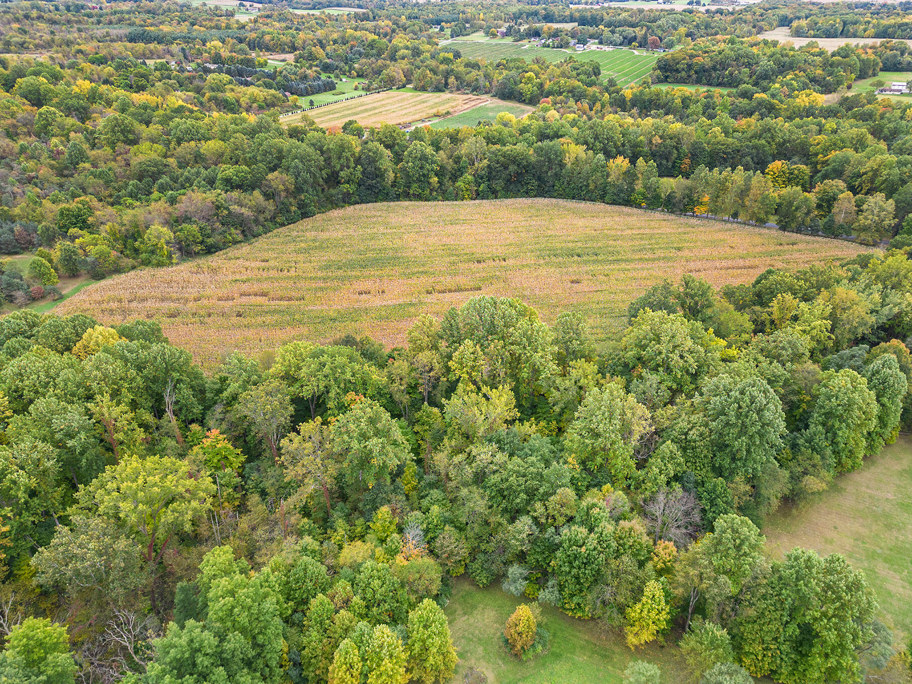 Union Road Eau Claire, MI 49111 - Photo 8 of 12 DJI_0926