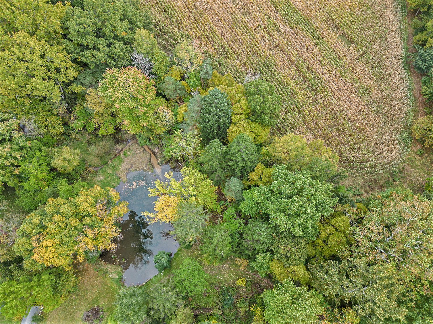 Union Road Eau Claire, MI 49111 - Photo 9 of 12 DJI_0923