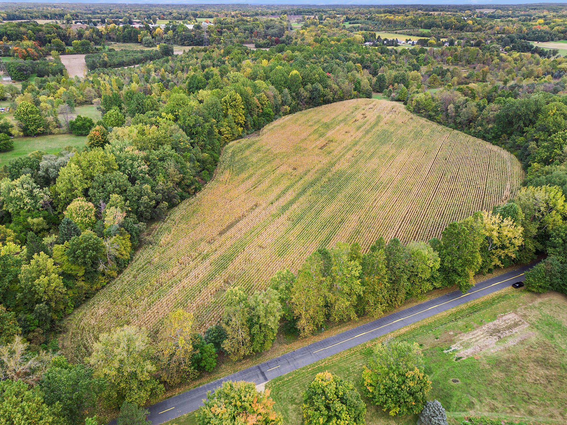 Union Road Eau Claire, MI 49111 - Photo 10 of 12 DJI_0921
