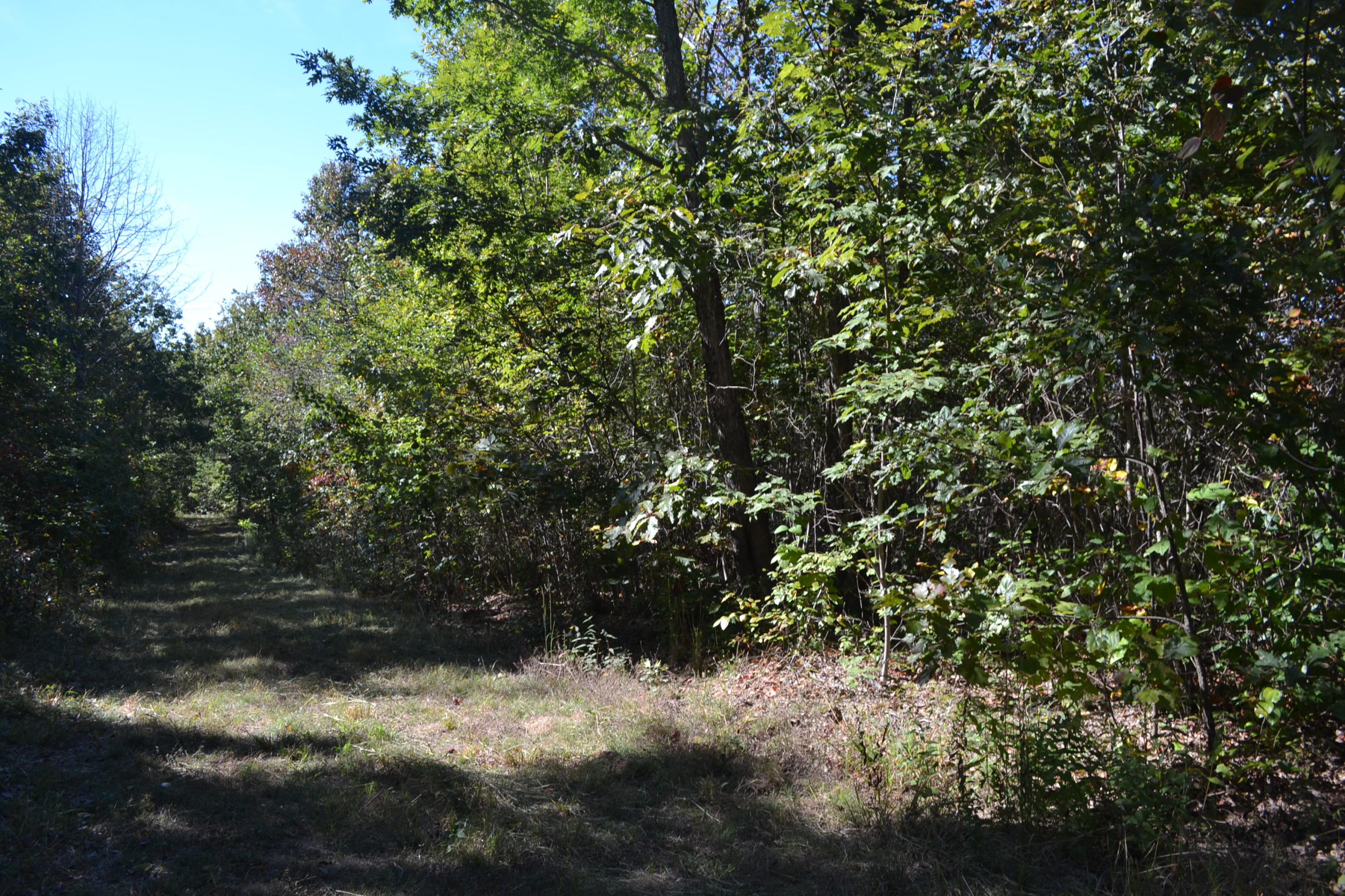 30-ac C Road Whitwell, TN 37397 - Photo 1 of 6 109