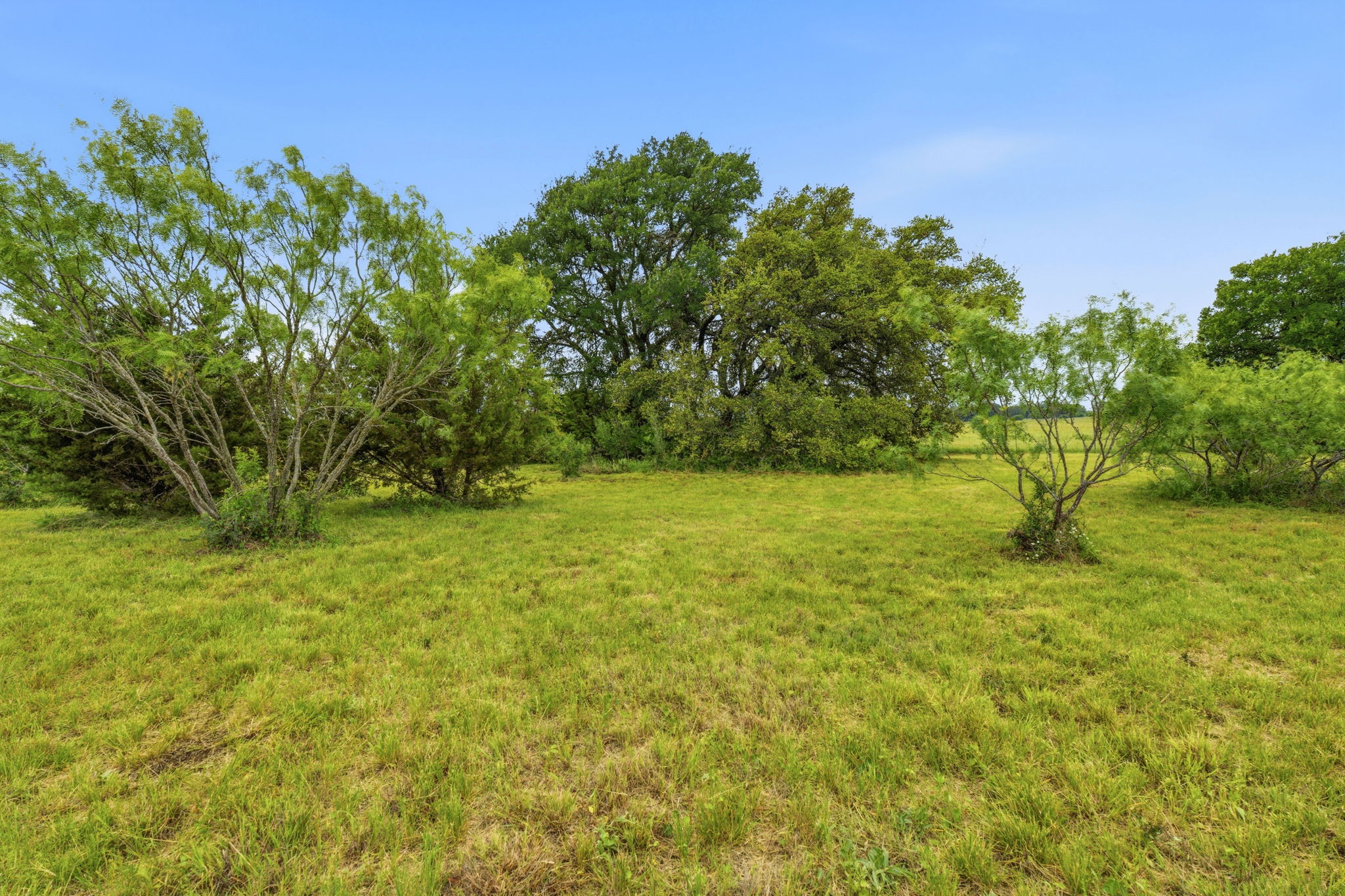 104 Round Up Circle Burnet, TX 78611 - Photo 7 of 23 Expansive open field with scattered trees and natural landscaping