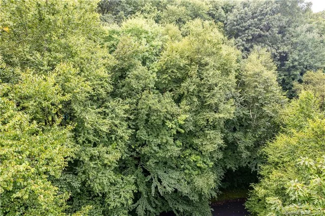 a view of a large yard with lots of green space