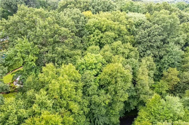 a view of a lush green field