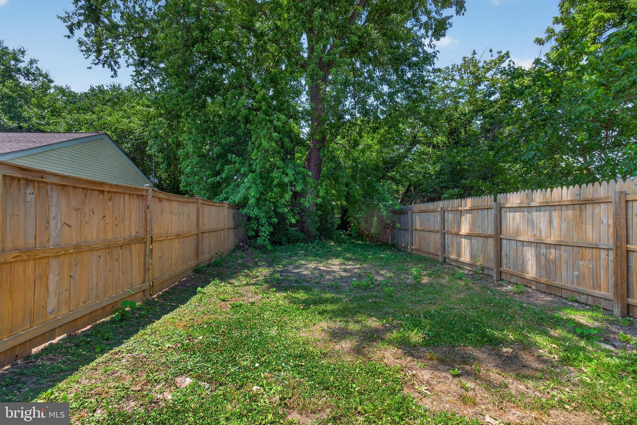 351 Calvert Street Chestertown, MD 21620 - Photo 2 of 19 a view of yard with green space