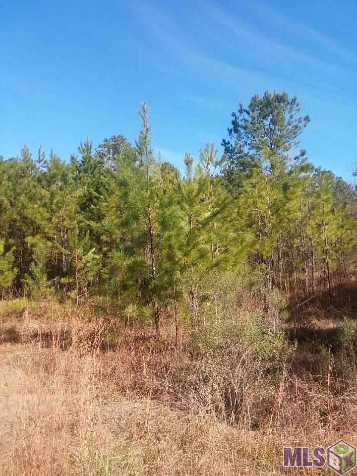 10133 Macedonia Road Crosby, MS 39633 - Photo 4 of 6 Gallery Image 4