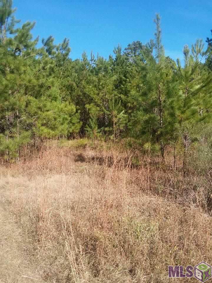 10133 Macedonia Road Crosby, MS 39633 - Photo 6 of 6 Gallery Image 6