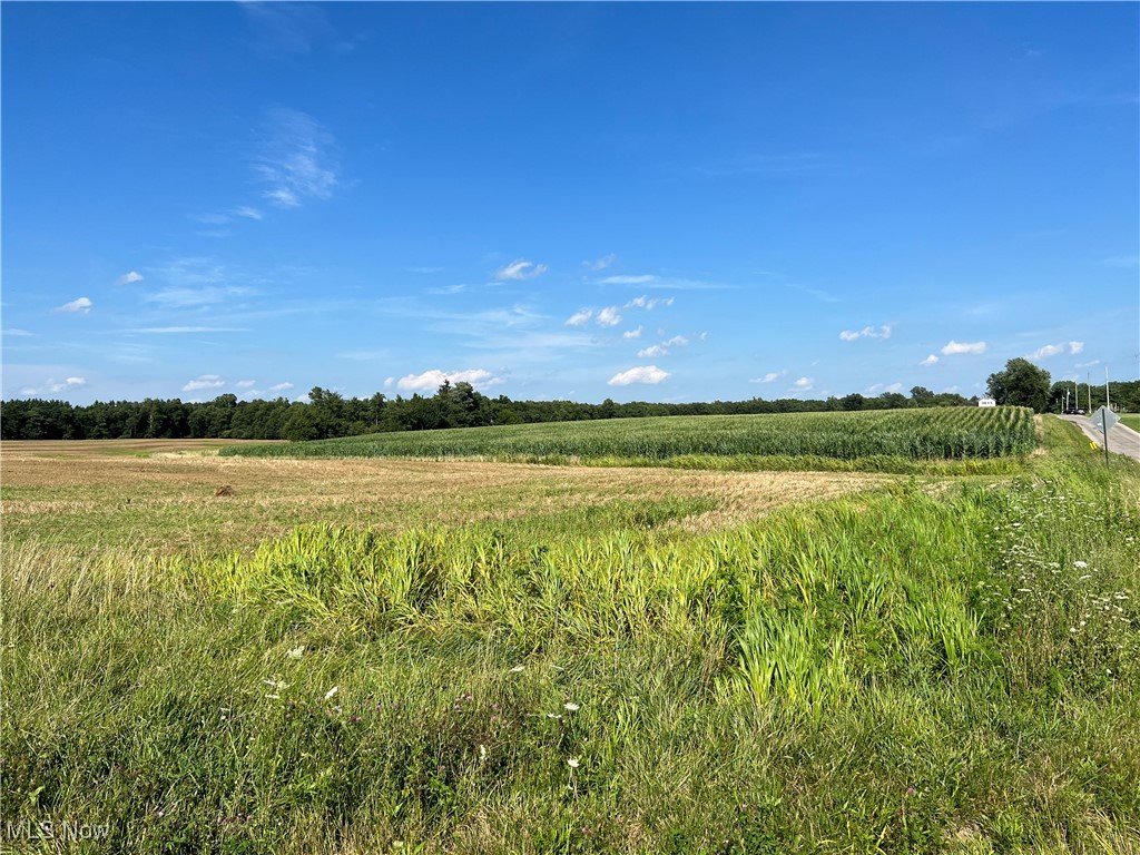 Lot A Cook Road Wakeman, OH 44889 - Photo 2 of 3