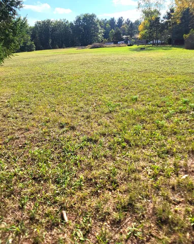 $119,000 | 9640 Thornapple Avenue, Newaygo, MI 49337