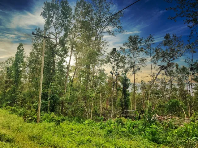 $220,000 | 0 Oleander Street, Vidor, TX 77662