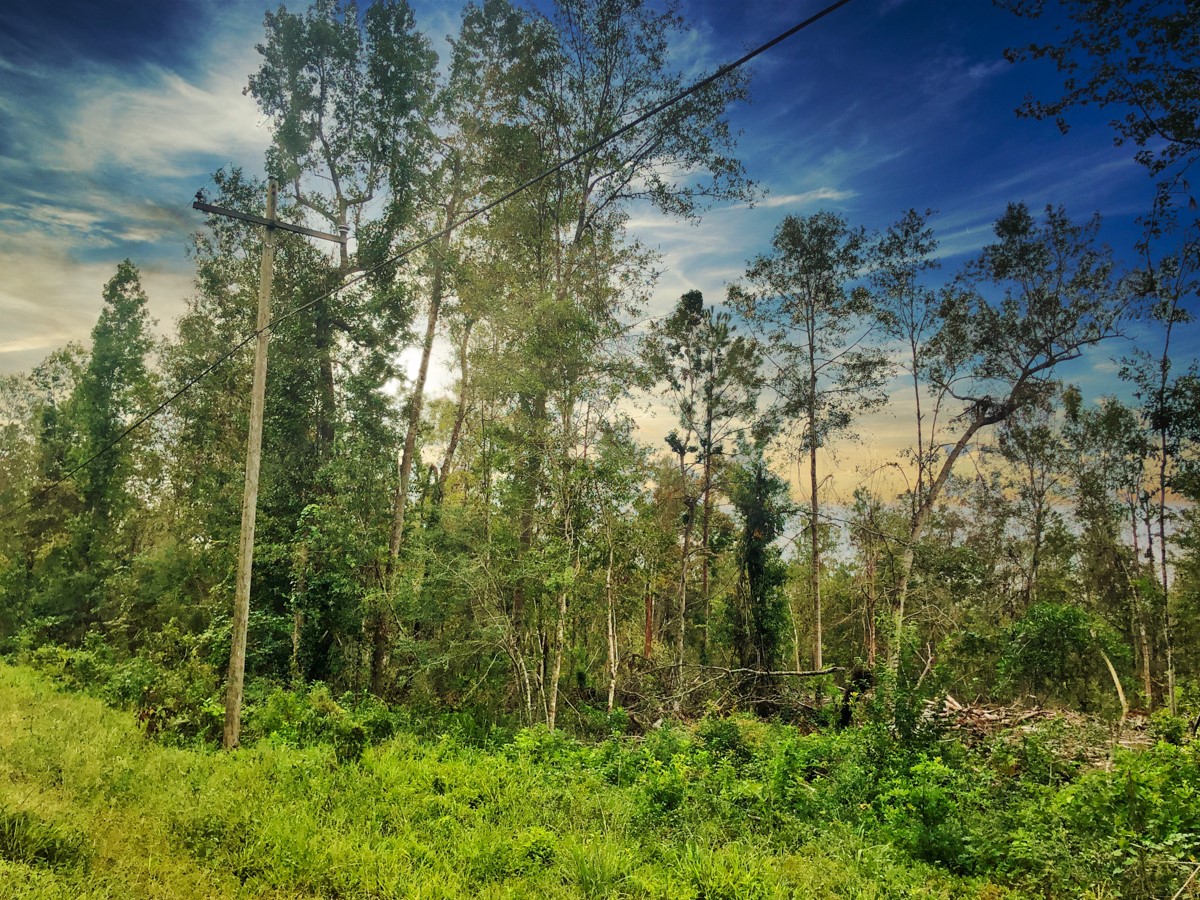 0 Oleander Street Vidor, TX 77662 - Photo 2 of 6