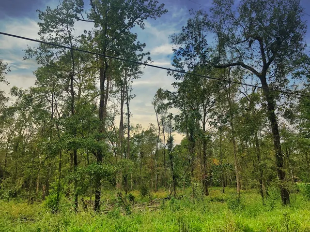 $220,000 | 0 Oleander Street, Vidor, TX 77662