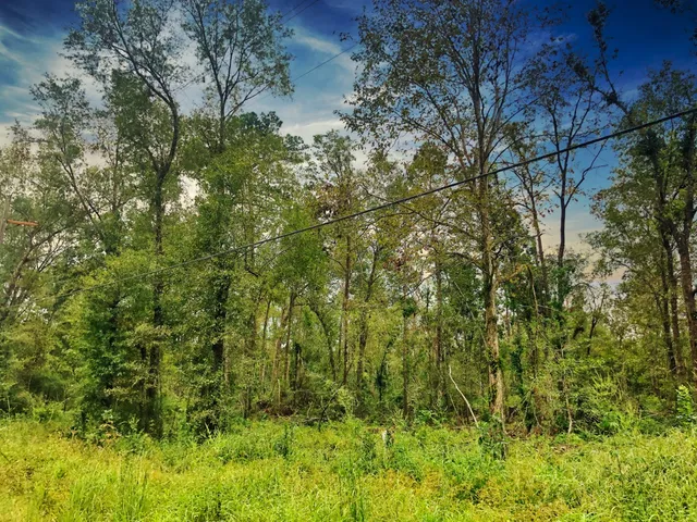 $220,000 | 0 Oleander Street, Vidor, TX 77662