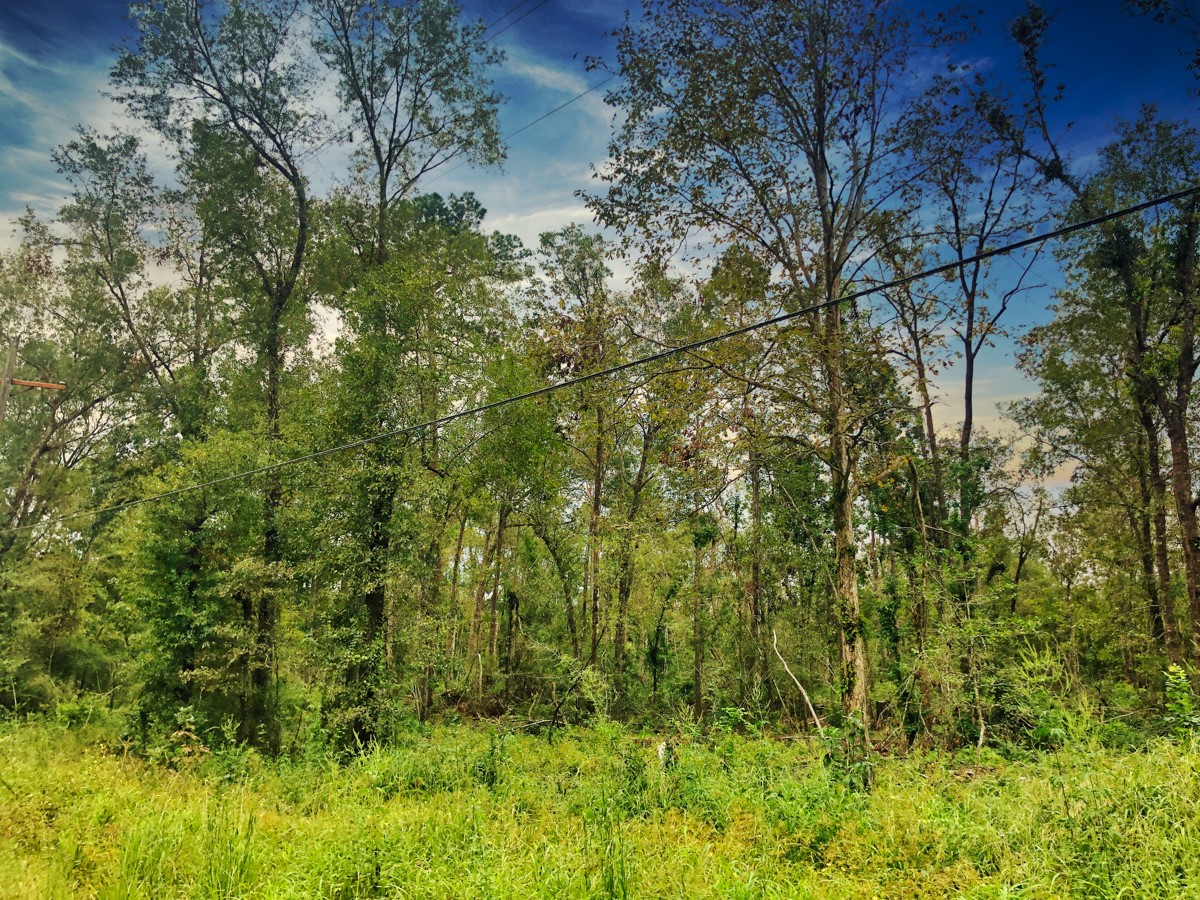 0 Oleander Street Vidor, TX 77662 - Photo 5 of 6