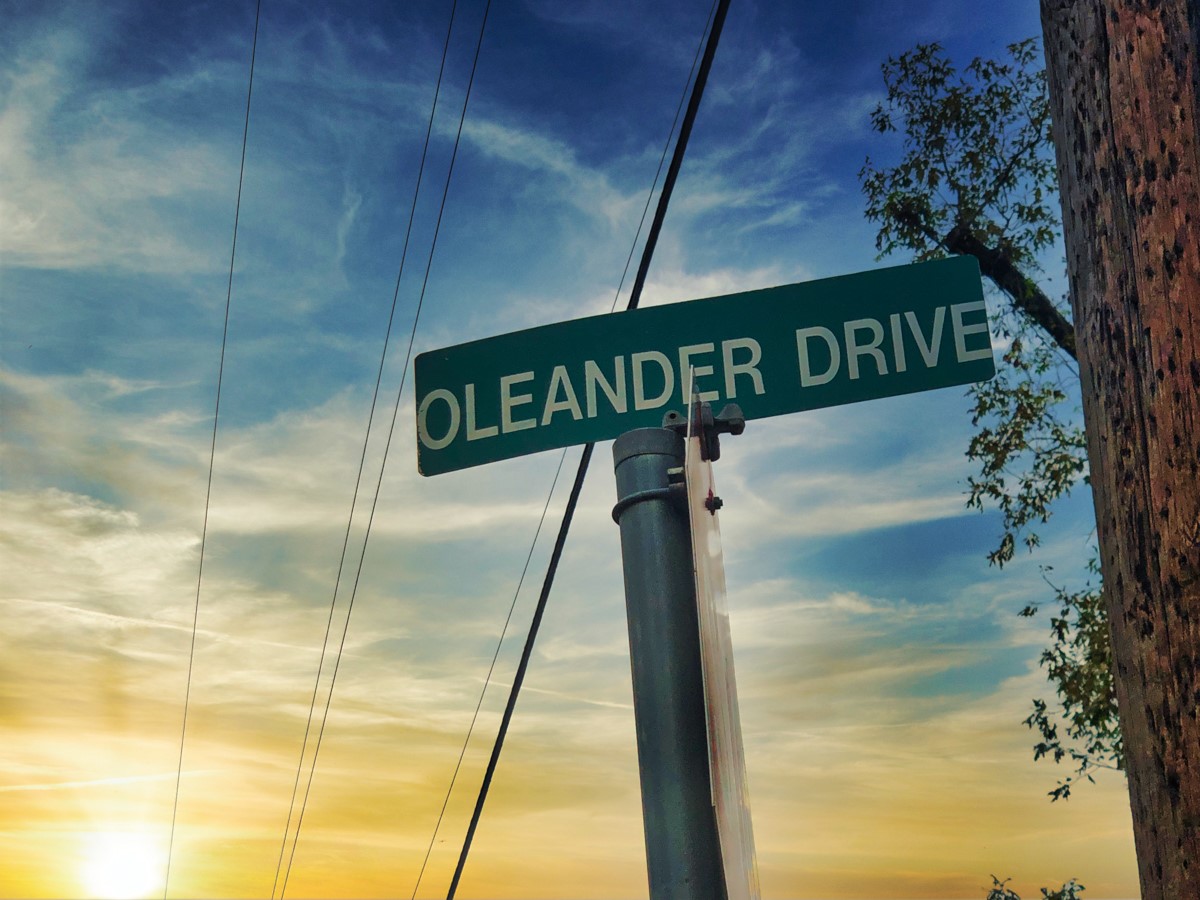 0 Oleander Street Vidor, TX 77662 - Photo 6 of 6