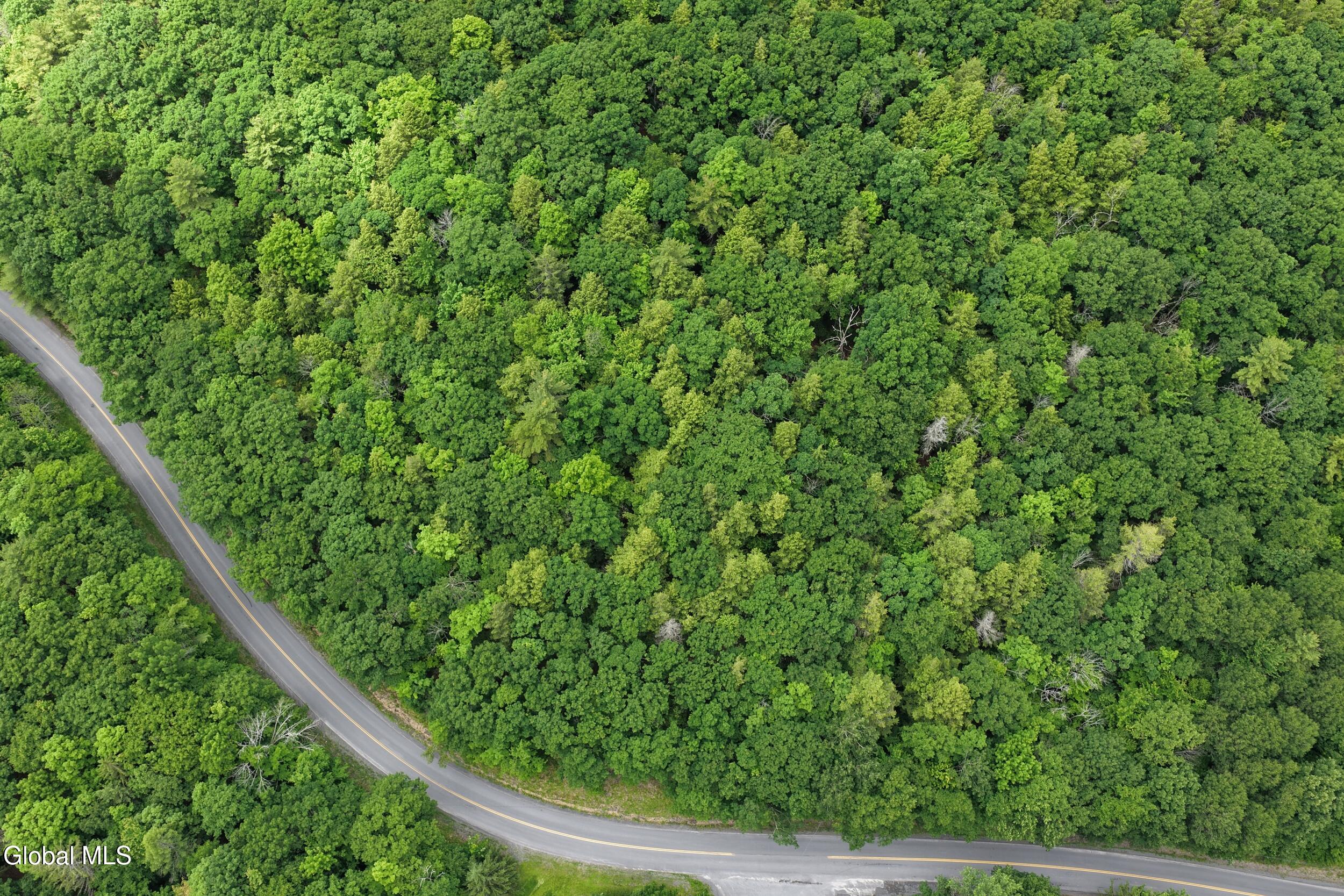 L1.00 Cotton Hill Road Middleburgh, NY 12122 - Photo 3 of 17 dji_20260616013636_0049_d