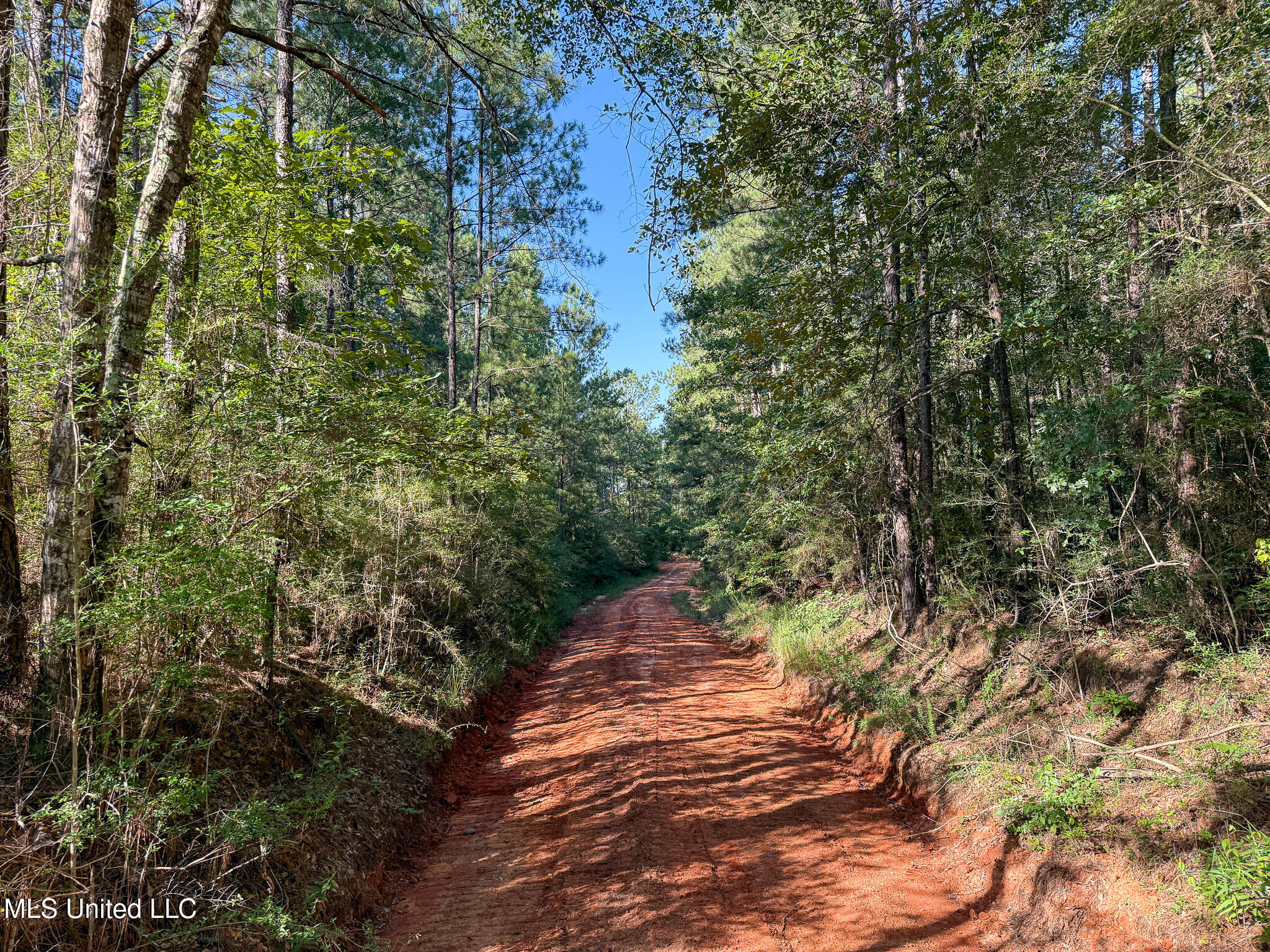 275 J M Burge Road Hattiesburg, MS 39402 - Photo 13 of 17 IMG_0704