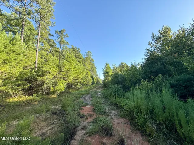 $1,800,000 | 275 J M Burge Road, Hattiesburg, MS 39402