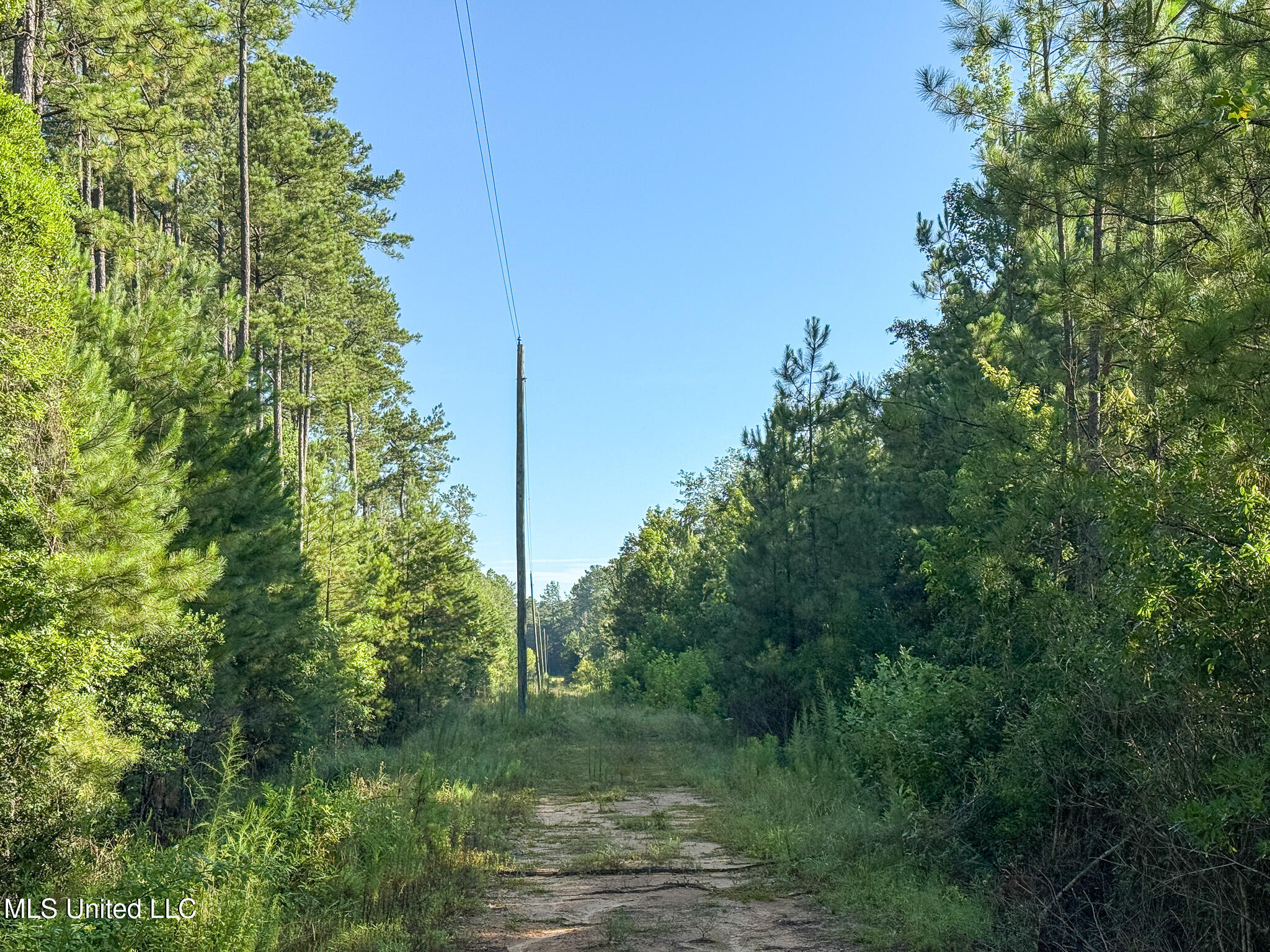275 J M Burge Road Hattiesburg, MS 39402 - Photo 16 of 17 IMG_0688