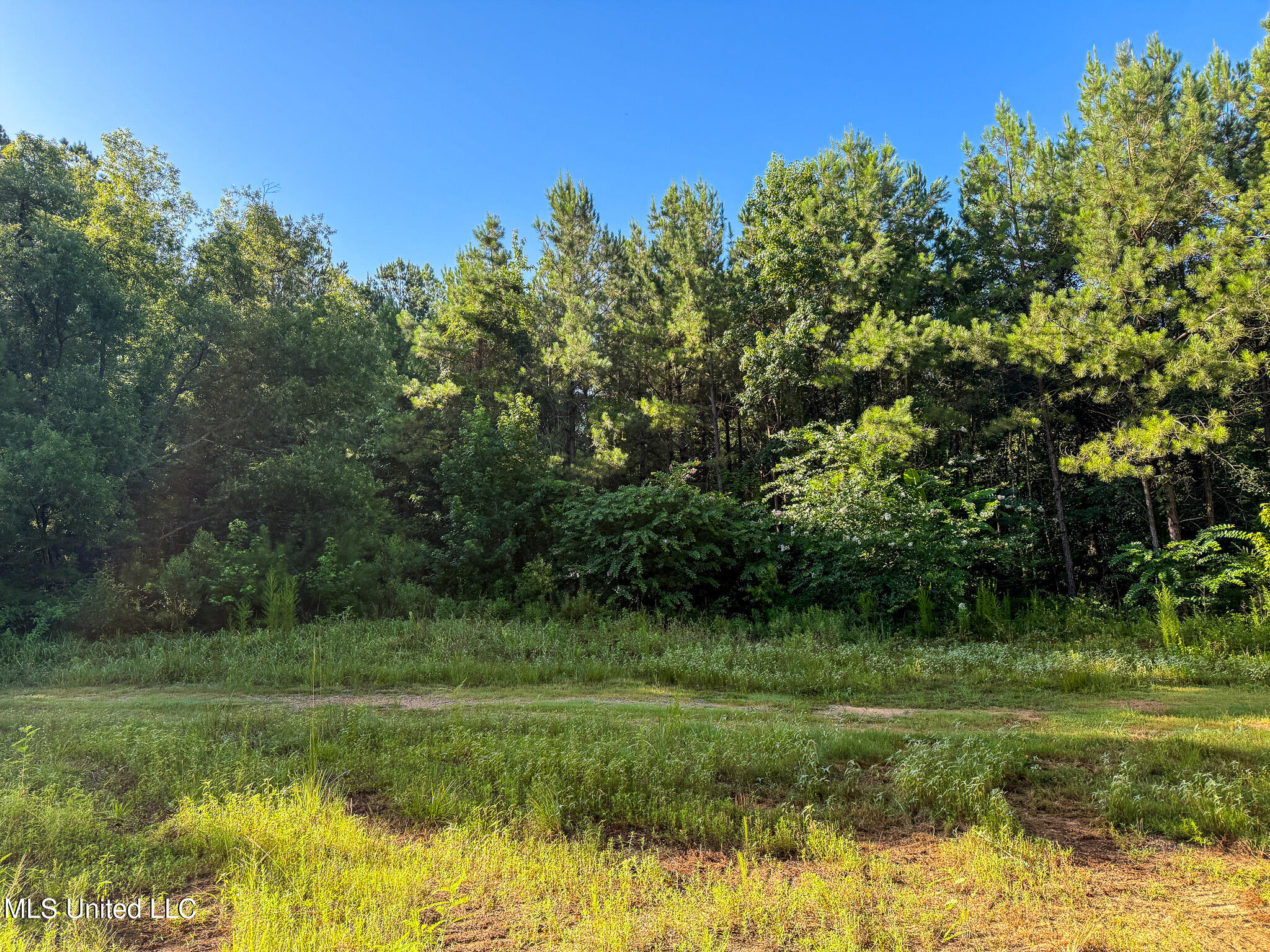 275 J M Burge Road Hattiesburg, MS 39402 - Photo 2 of 17 IMG_0691