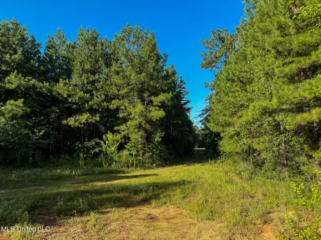 $1,800,000 | 275 J M Burge Road, Hattiesburg, MS 39402