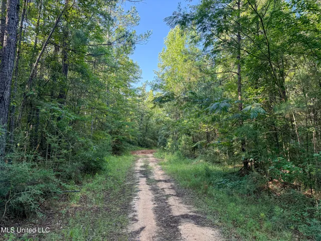 $1,800,000 | 275 J M Burge Road, Hattiesburg, MS 39402