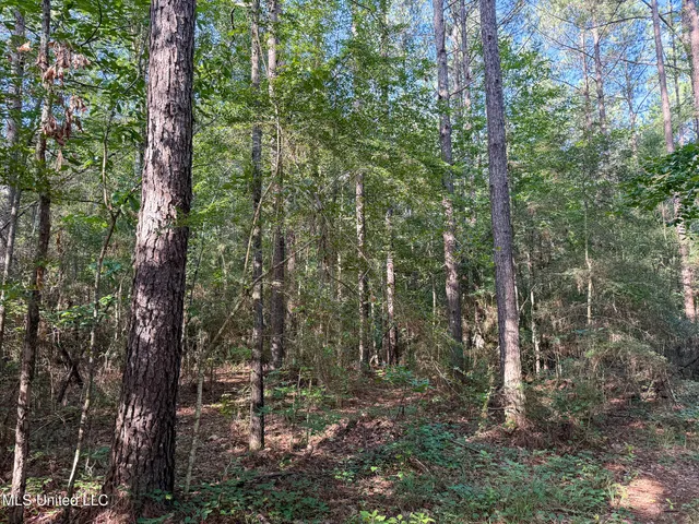 $1,800,000 | 275 J M Burge Road, Hattiesburg, MS 39402