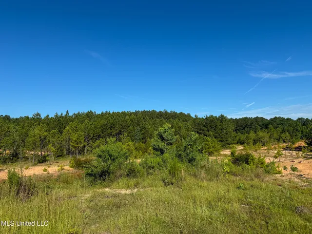 $1,800,000 | 275 J M Burge Road, Hattiesburg, MS 39402