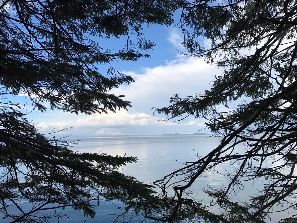 Xx Shore Road Perry, ME 04667 - Photo 16 of 77 Gorgeous sky, a calm sea and Oh...