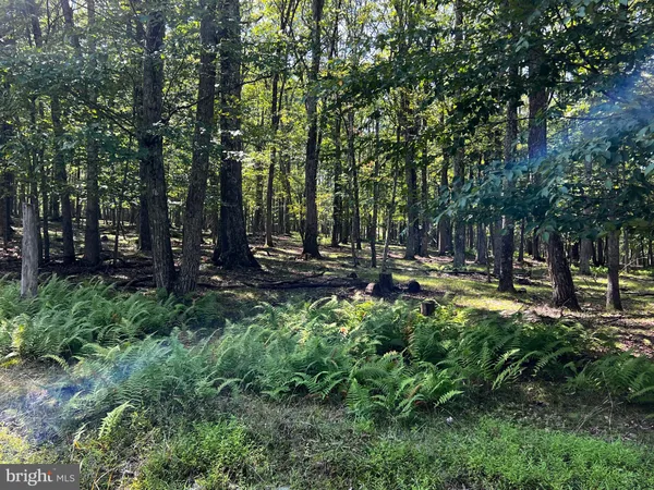 a view of outdoor space with trees