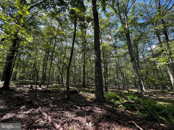 $4,900 | 112 Spruce Court, Hawley, PA 18428