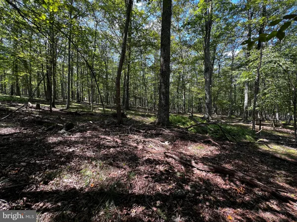 $4,900 | 112 Spruce Court, Hawley, PA 18428