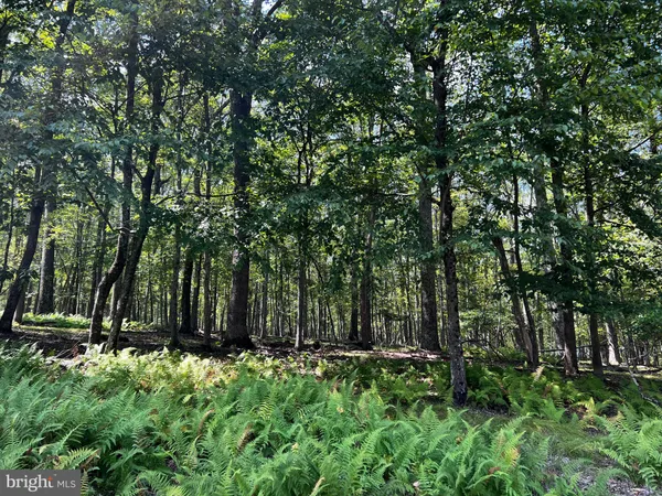 $4,900 | 112 Spruce Court, Hawley, PA 18428