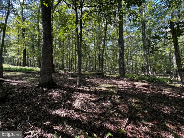 $4,900 | 112 Spruce Court, Hawley, PA 18428