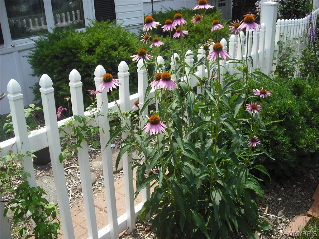 207 Coolidge Road Irondequoit, NY 14622 - Photo 36 of 42