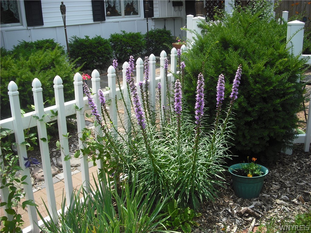 207 Coolidge Road Irondequoit, NY 14622 - Photo 37 of 42